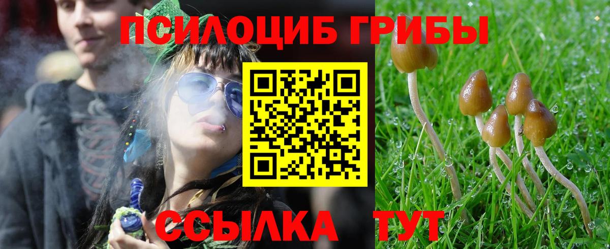Галлюциногенные грибы Cubensis Гай