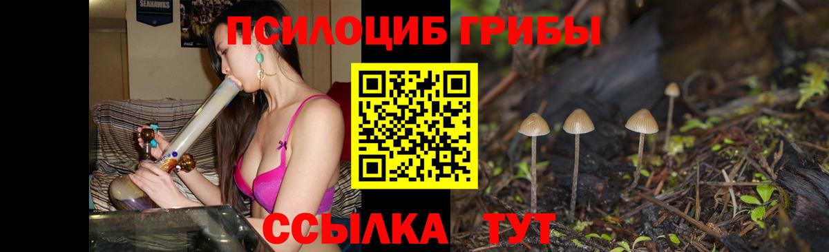 Гай  Галлюциногенные грибы мухоморы  Галлюциногенные грибы Psilocybine cubensis  Вход с VPN 