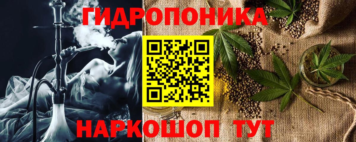 Шишки марихуана план  Вход с VPN  Гай  Марихуана ГИДРОПОН  Шишки марихуана конопля  МАРИХУАНА тримм 